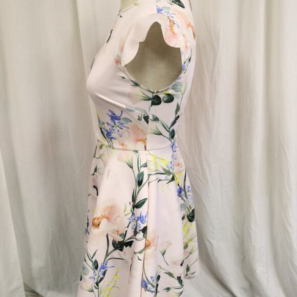 Ted Baker Size 0 Pink and Floral Dress Fit and Flare - Picture 6 of 11